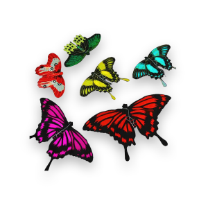 cerf volant papillon chinois 5PCS