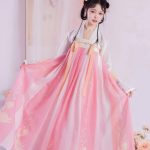 Costume Traditionnel Chinois Hanfu Rose