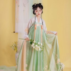 Costume Traditionnel Chinois Hanfu