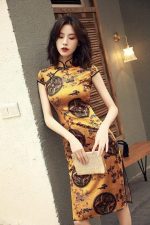 Robe Chinoise Antique mandarin