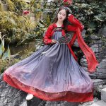 Hanfu Traditionnel