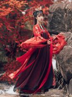 Hanfu Impérial tang