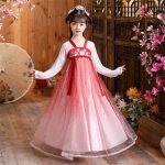 Robe Princesse Chinoise